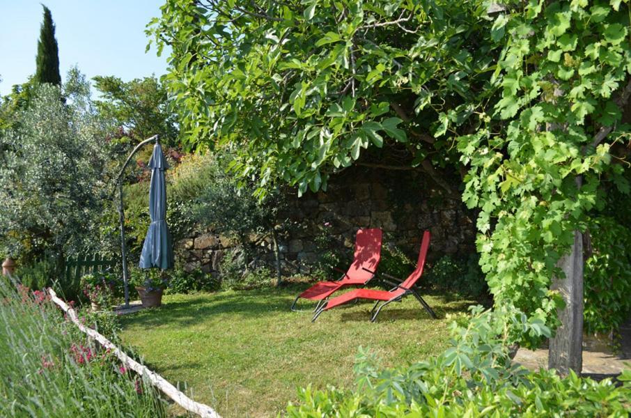 Casa Ercole Farm Stay Greve in Chianti Buitenkant foto