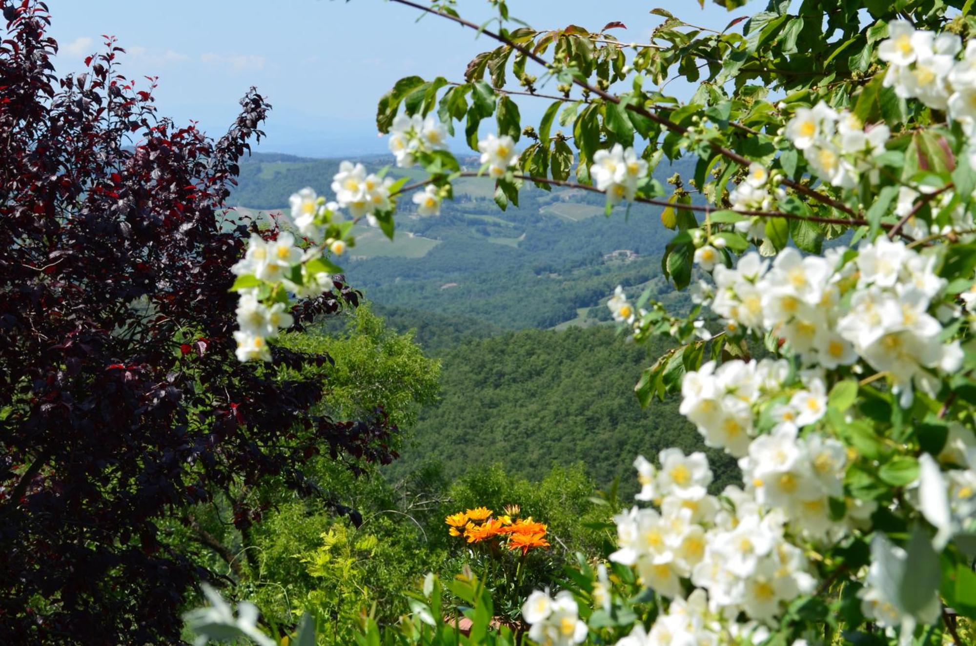 Casa Ercole Farm Stay Greve in Chianti Buitenkant foto