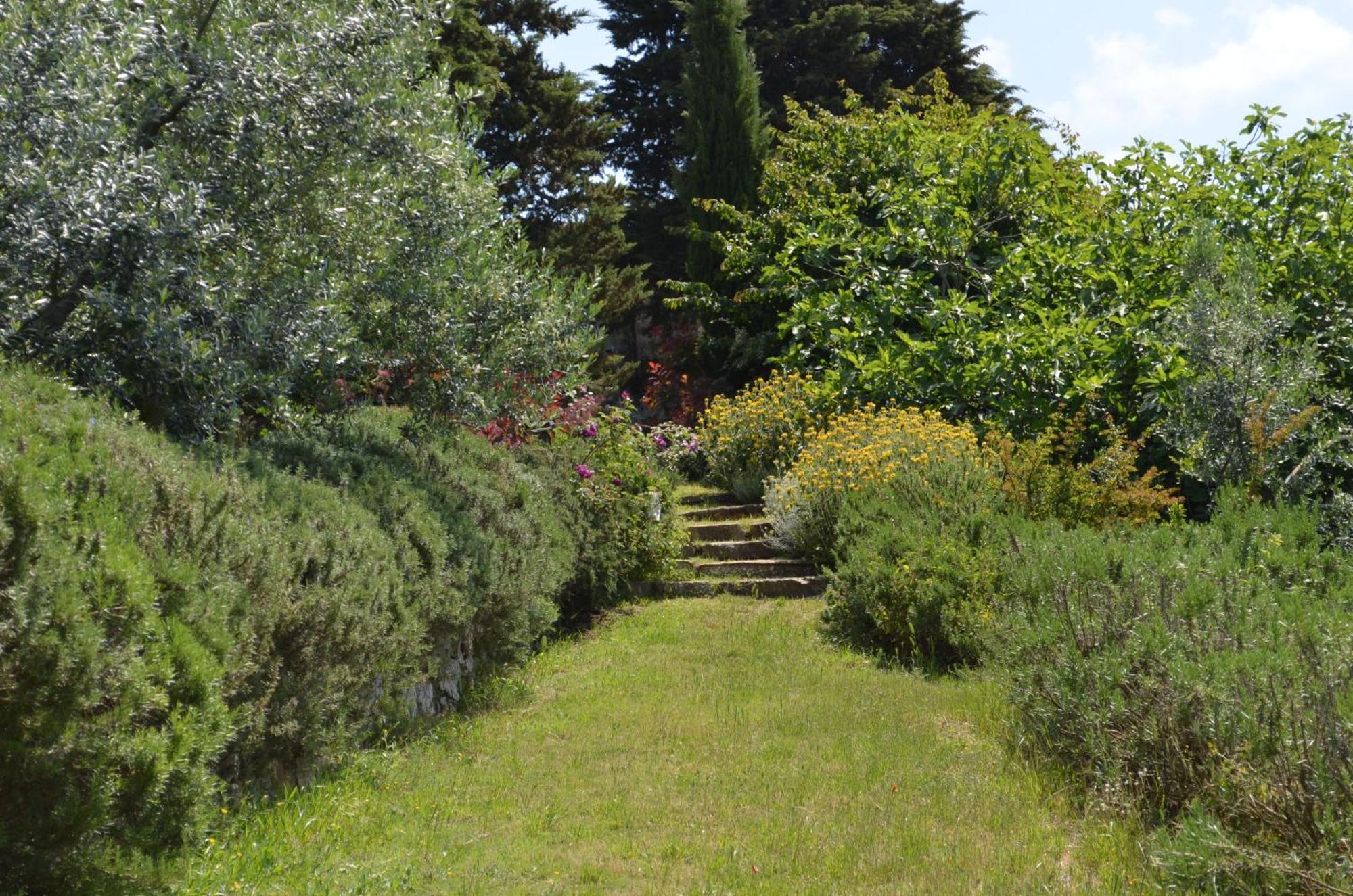 Casa Ercole Farm Stay Greve in Chianti Buitenkant foto