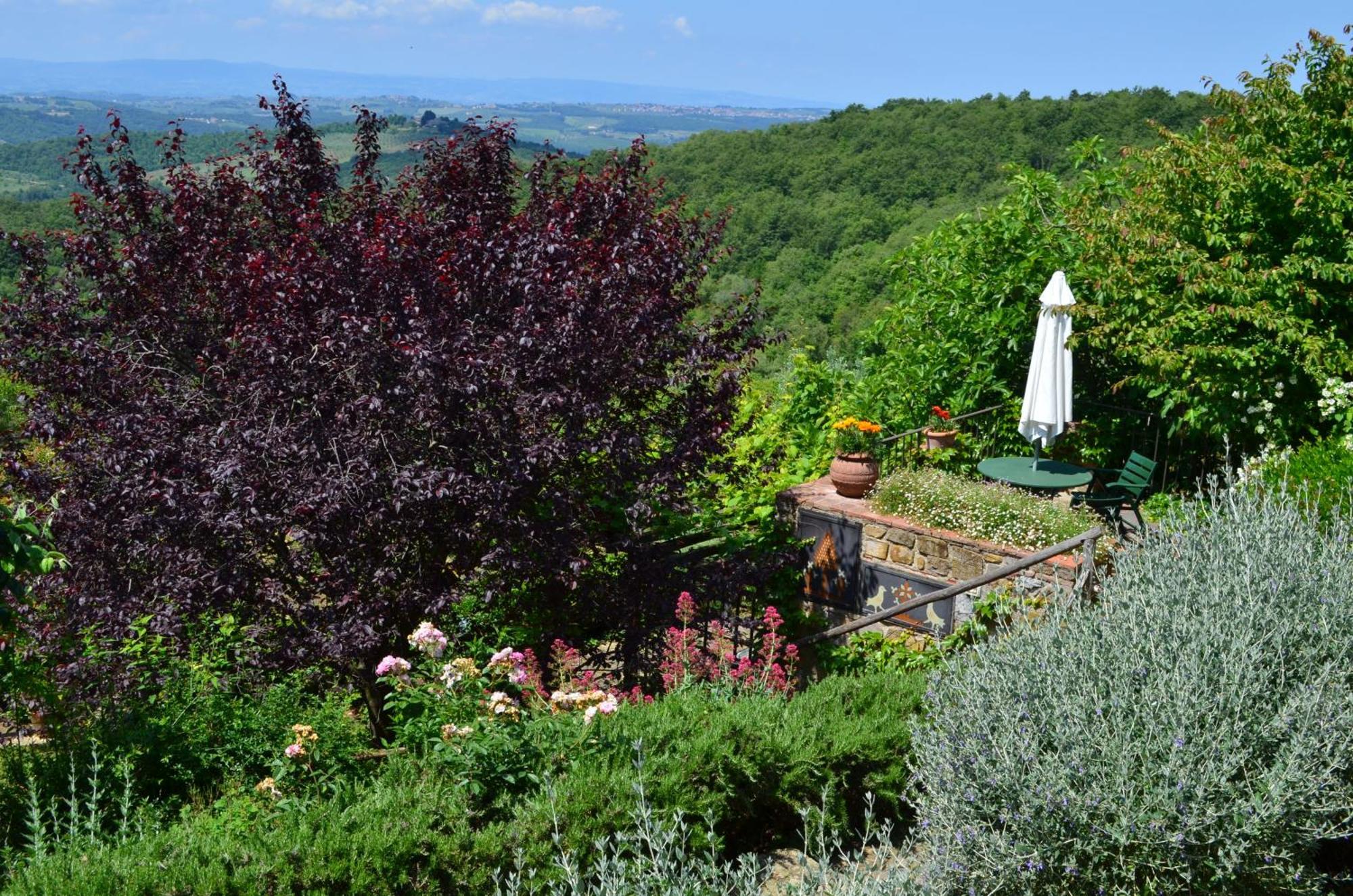 Casa Ercole Farm Stay Greve in Chianti Buitenkant foto