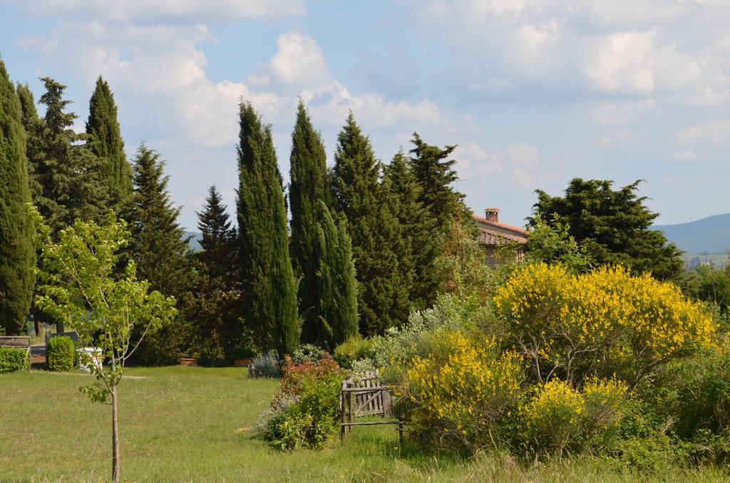 Casa Ercole Farm Stay Greve in Chianti Buitenkant foto